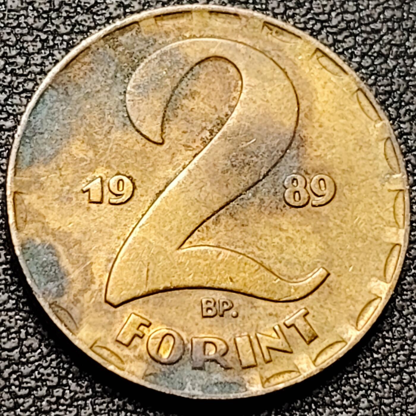 泉币菌-第184场- 精品福利场 。