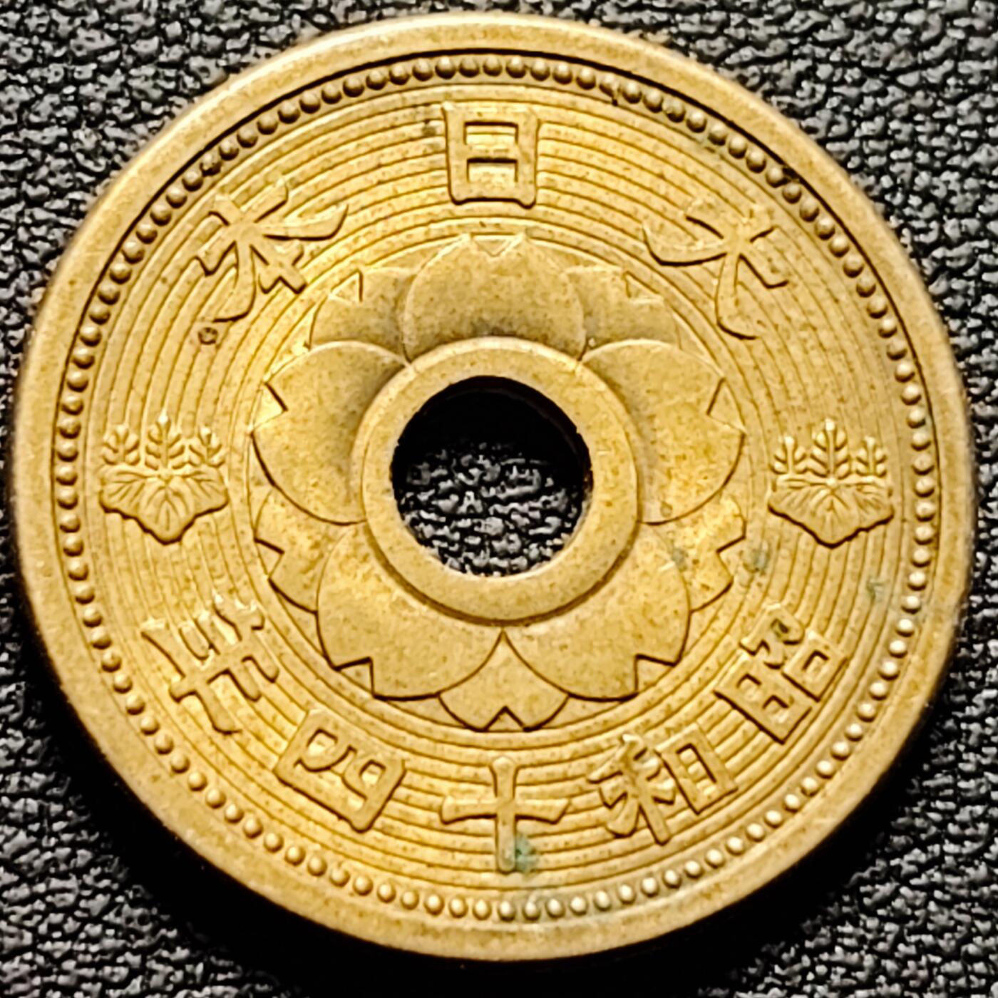 泉币菌-第184场- 精品福利场 。