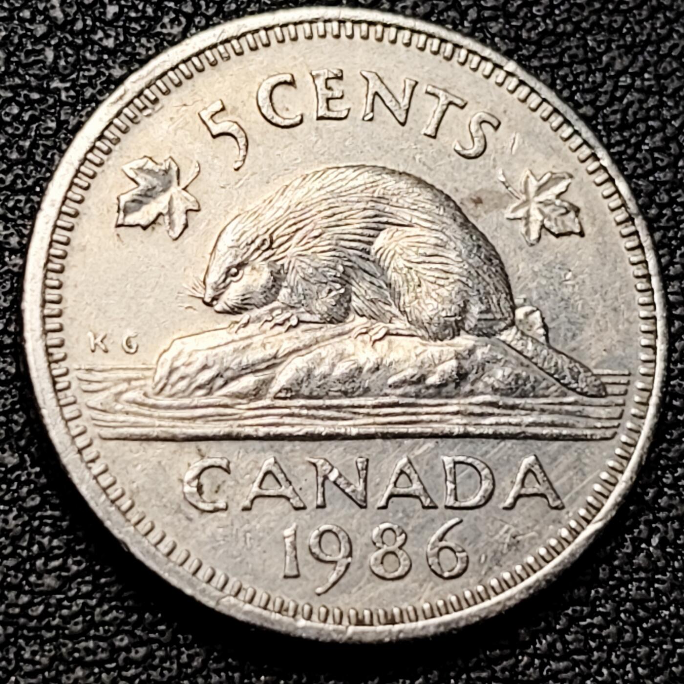 泉币菌-第182场- 精品福利场 。