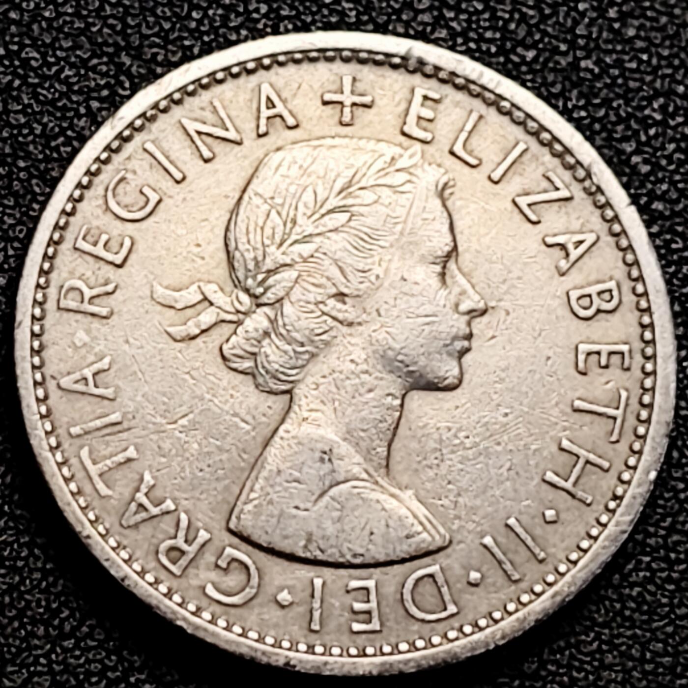 泉币菌-第183场- 精品福利场 。