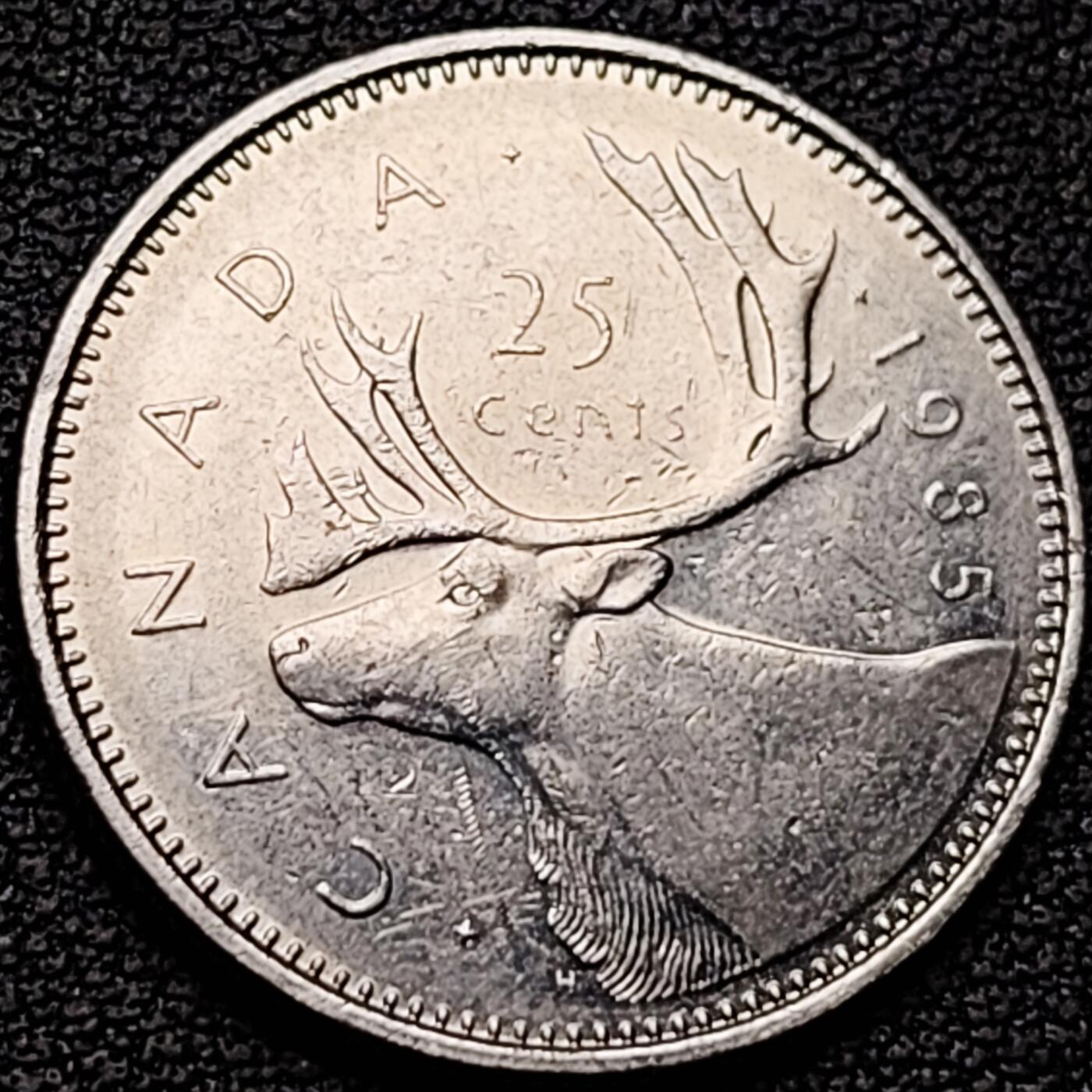 泉币菌-第184场- 精品福利场 。