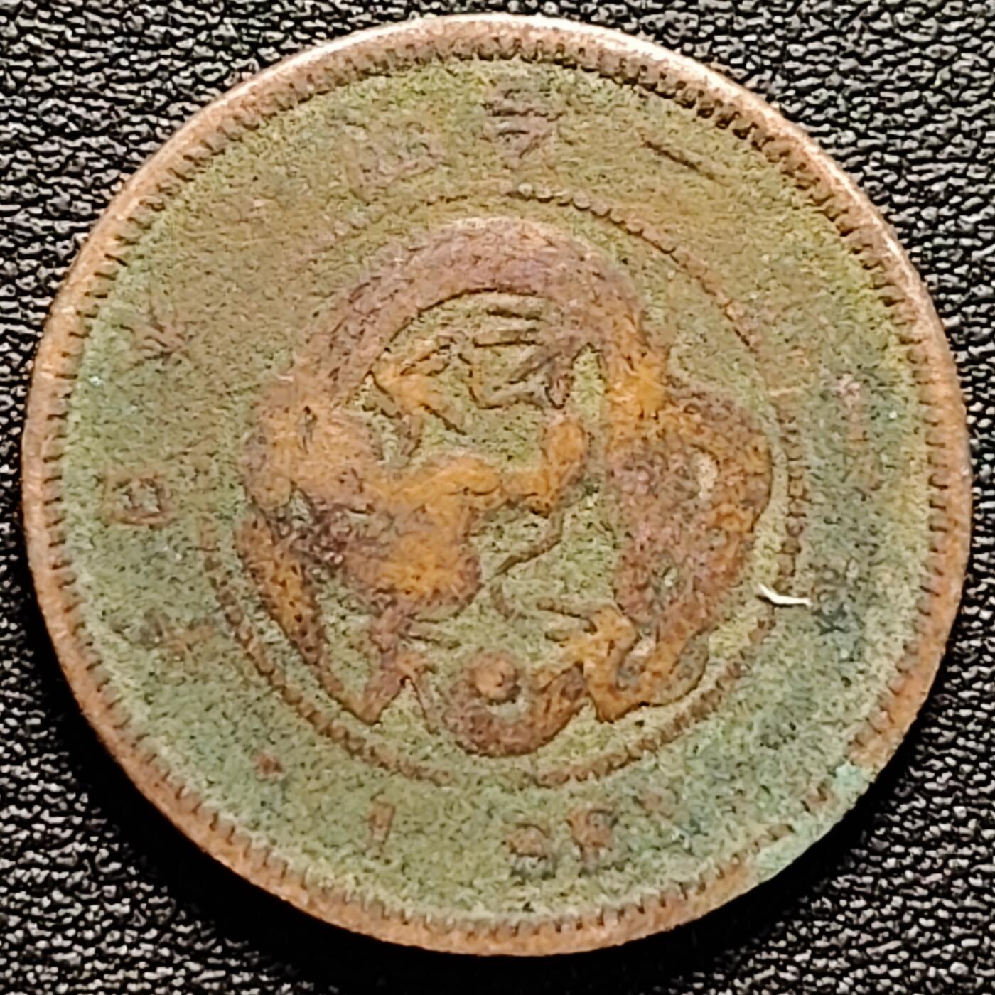 泉币菌-第185场- 精品福利场 。