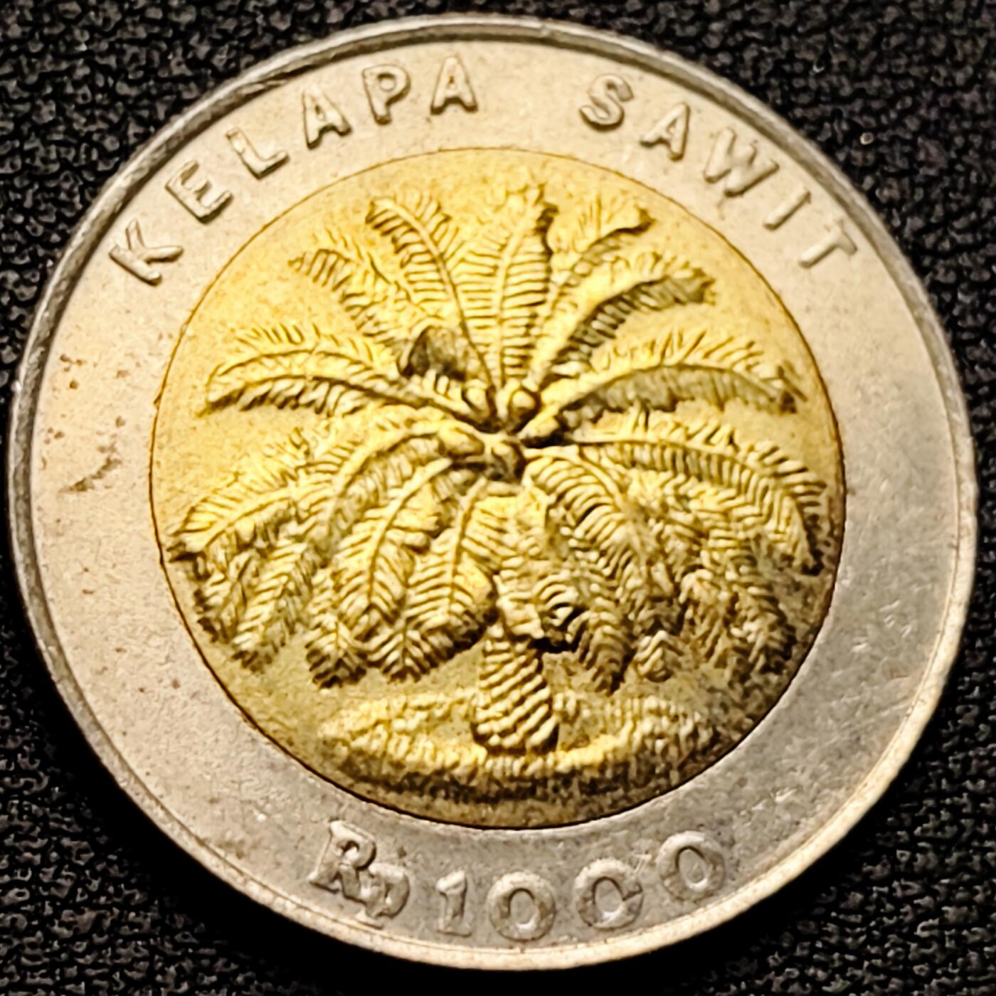 泉币菌-第185场- 精品福利场 。