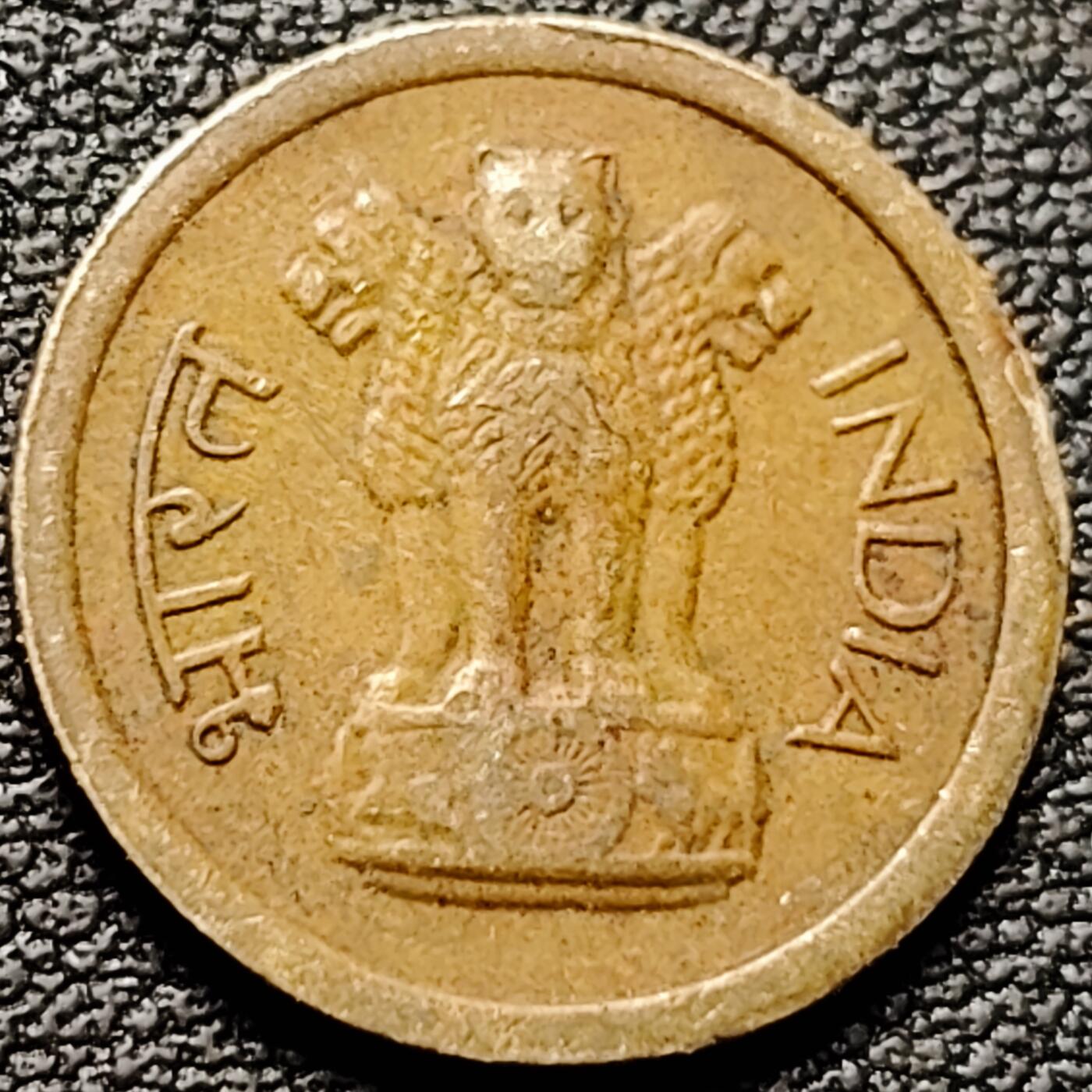 泉币菌-第184场- 精品福利场 。