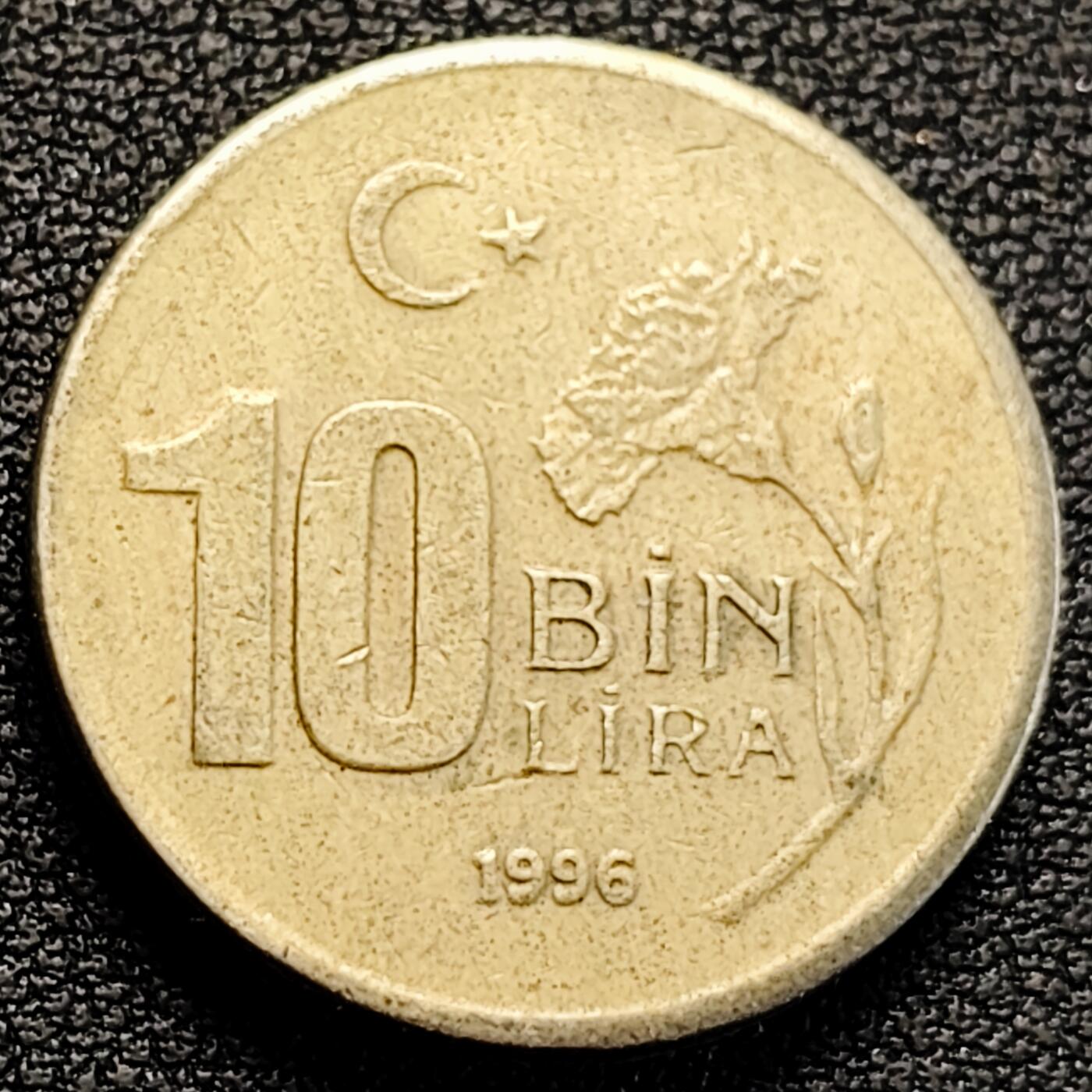 泉币菌-第183场- 精品福利场 。