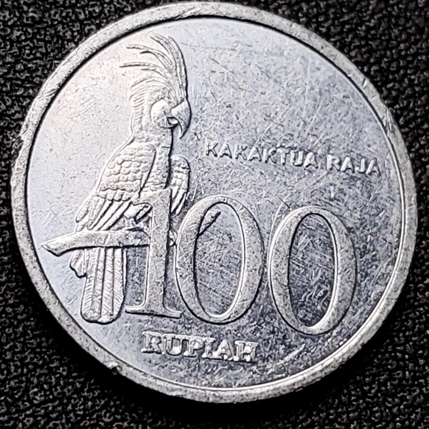 泉币菌-第182场- 精品福利场 。