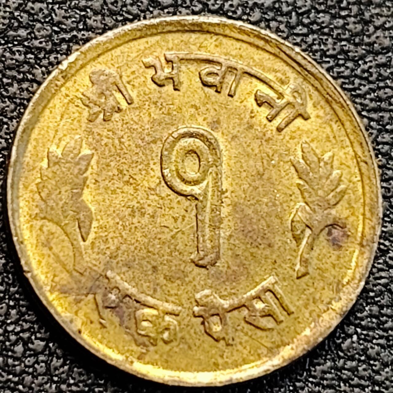 泉币菌-第187场- 精品福利场 （本周五和之前拍的 2月14日发货） 。