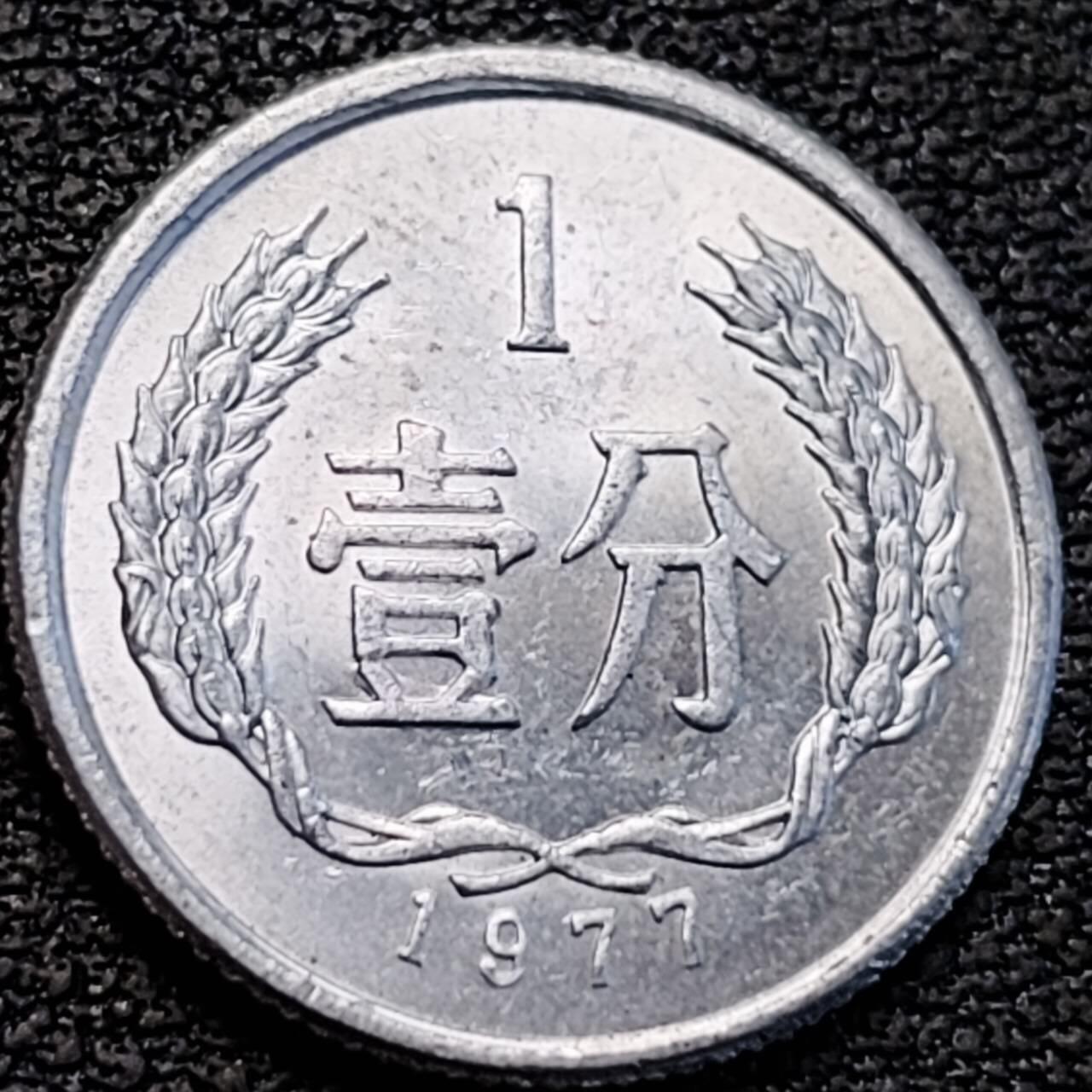 泉币菌-第186场- 精品福利场 。