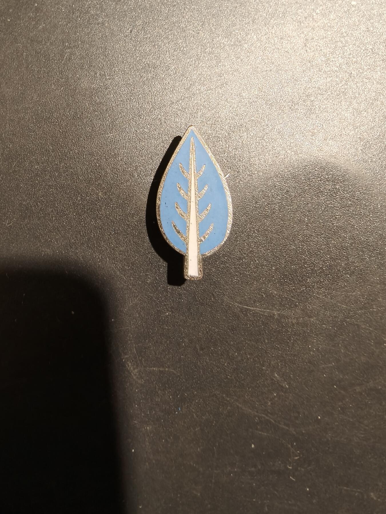 老王徽章第181期 美国胸针