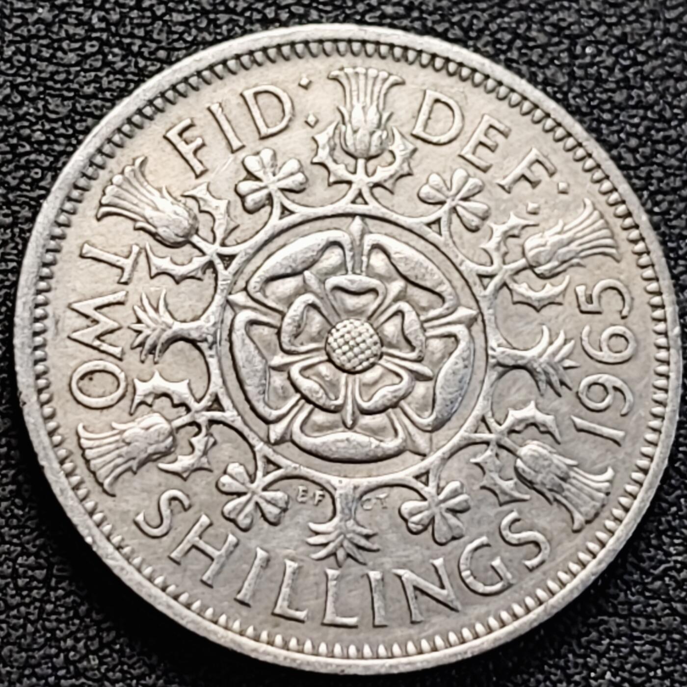 泉币菌-第186场- 精品福利场 。