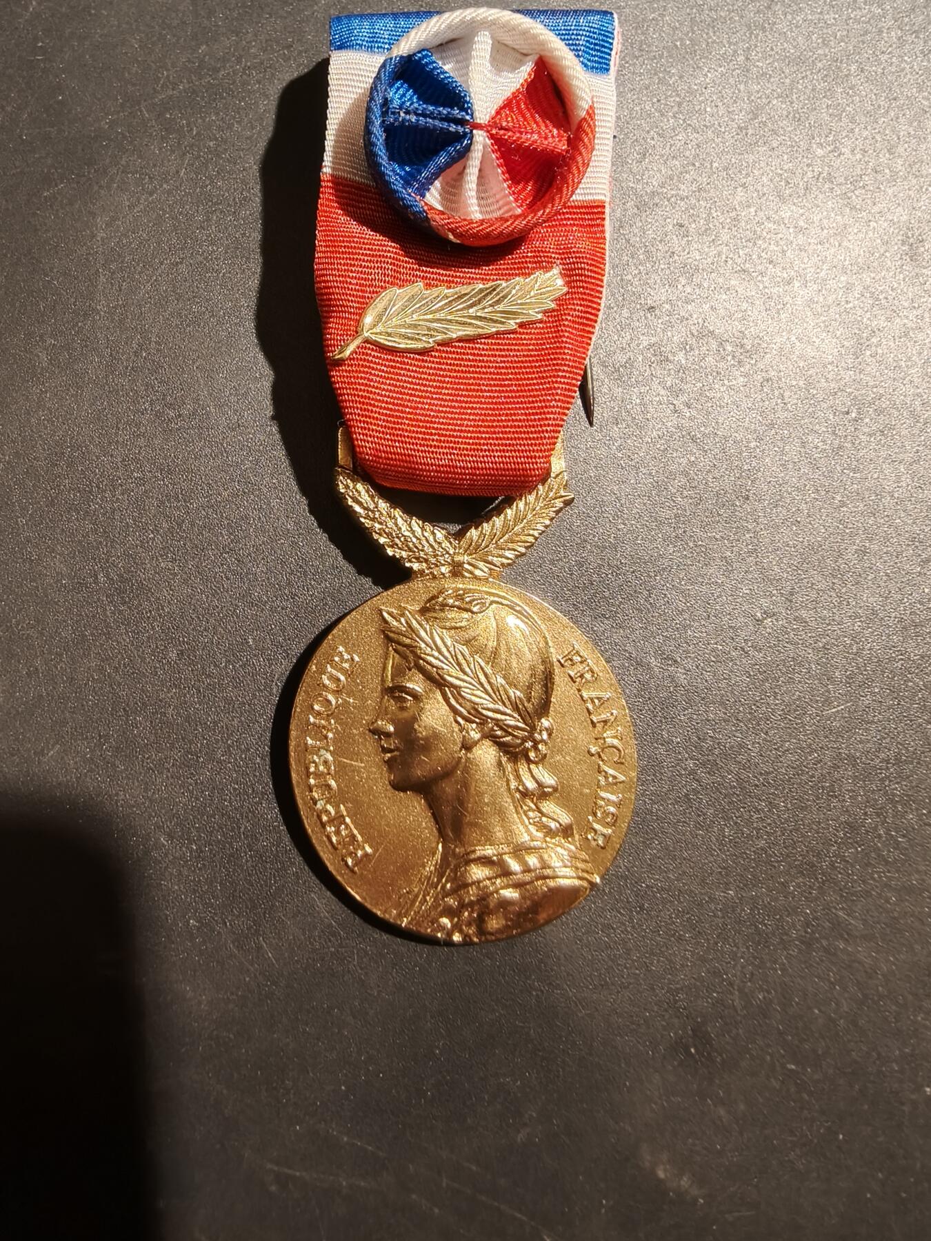 老王徽章第181期 法国金级劳动荣誉奖章    2019年实发   金棕榈勋饰