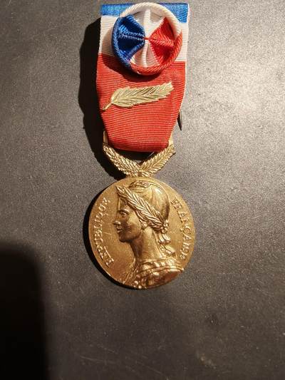 老王徽章第181期 - 法国金级劳动荣誉奖章    2019年实发   金棕榈勋饰