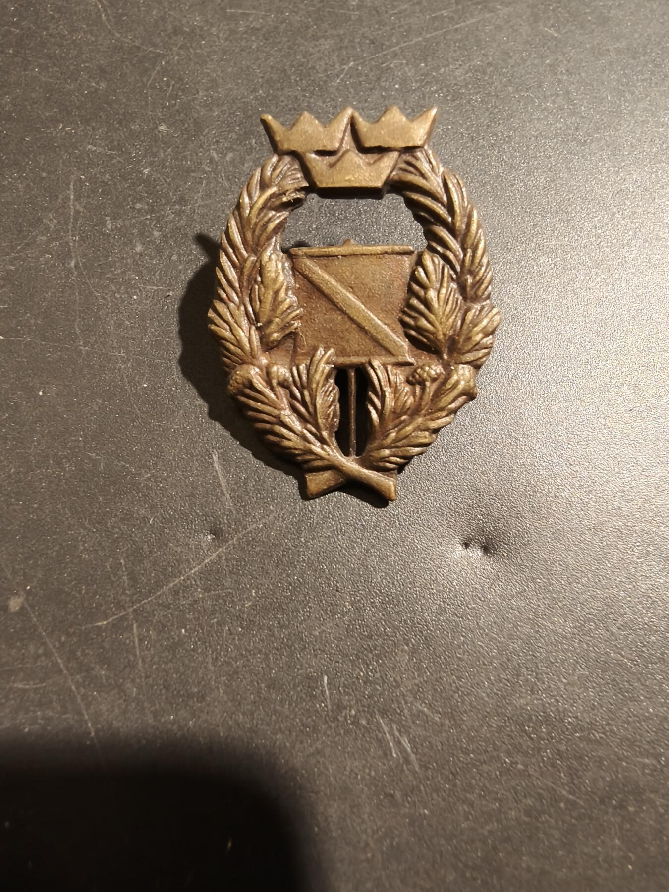 老王徽章第181期 瑞典陆军定向越野技能证章