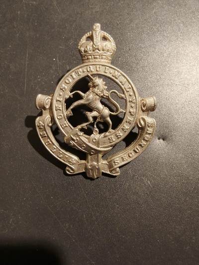 老王徽章第181期 - 英联邦加拿大总督近卫骑兵团帽徽    二战时期    该团在战时做为装甲团服役