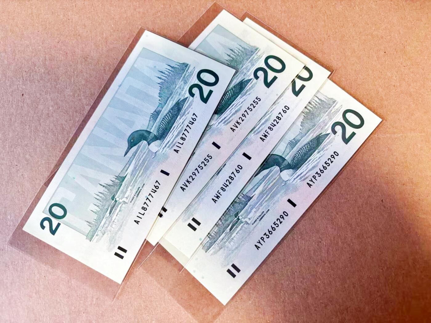 【Blue Auction】世界纸币精拍第785期——18级TOP拍卖/信誉/品质/专业/高效💫 【一组4张 含无47】加拿大 1991年20元 全新UNC