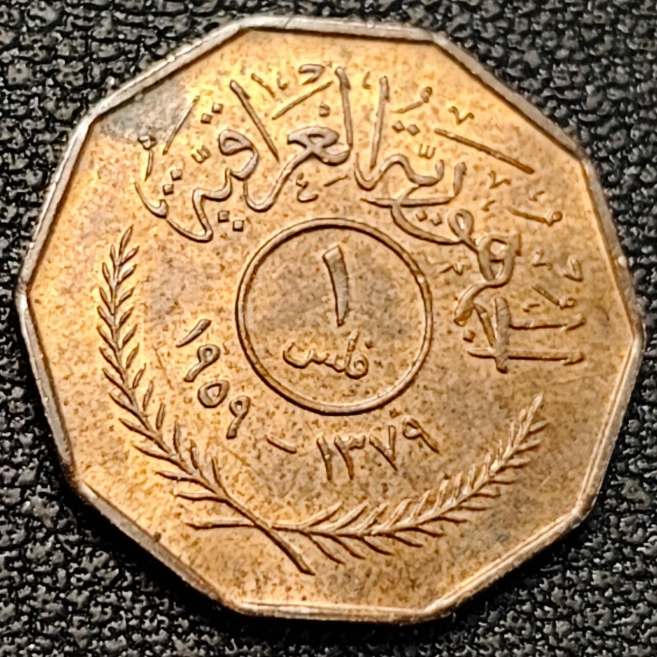 泉币菌-第187场- 精品福利场 （本周五和之前拍的 2月14日发货） 。