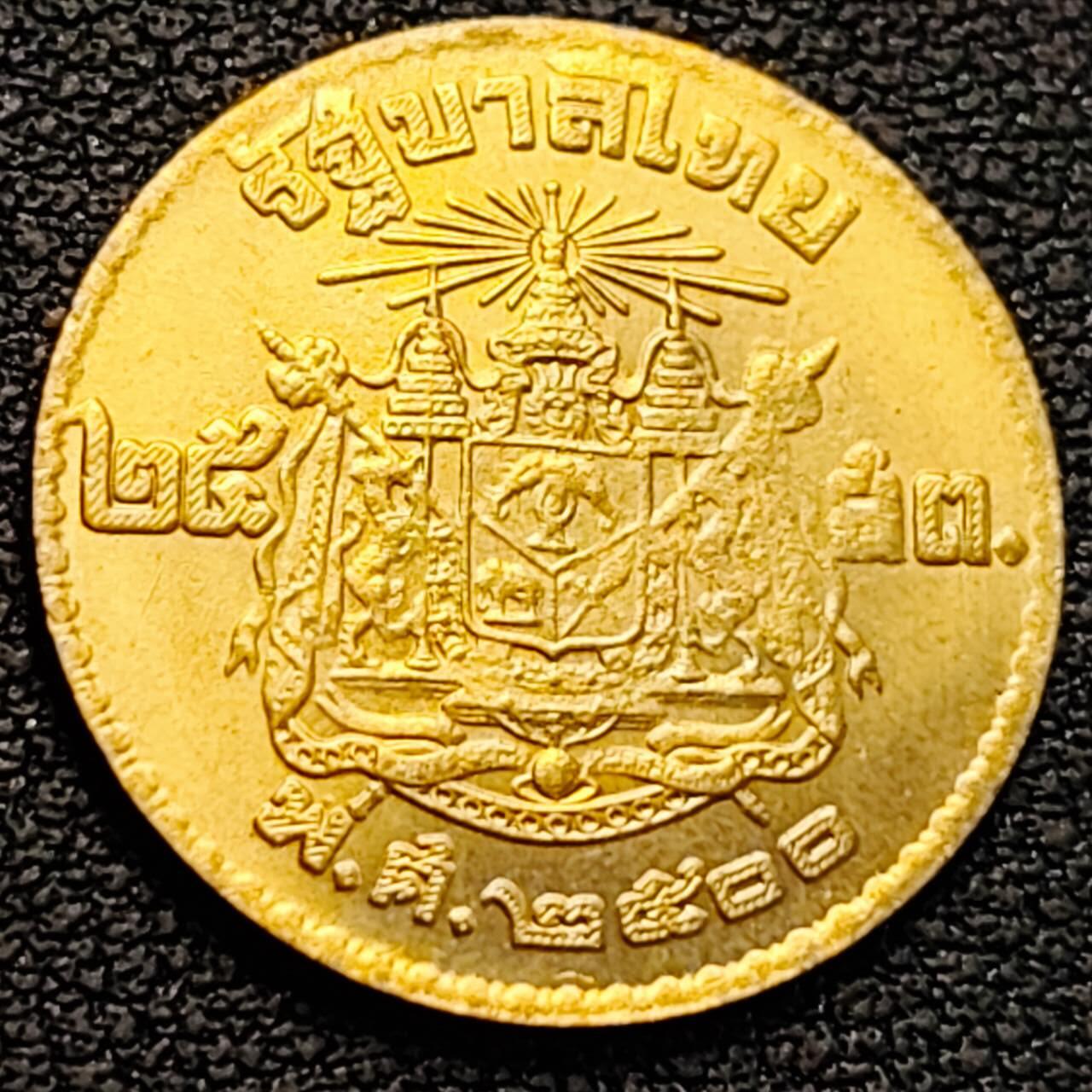 泉币菌-第186场- 精品福利场