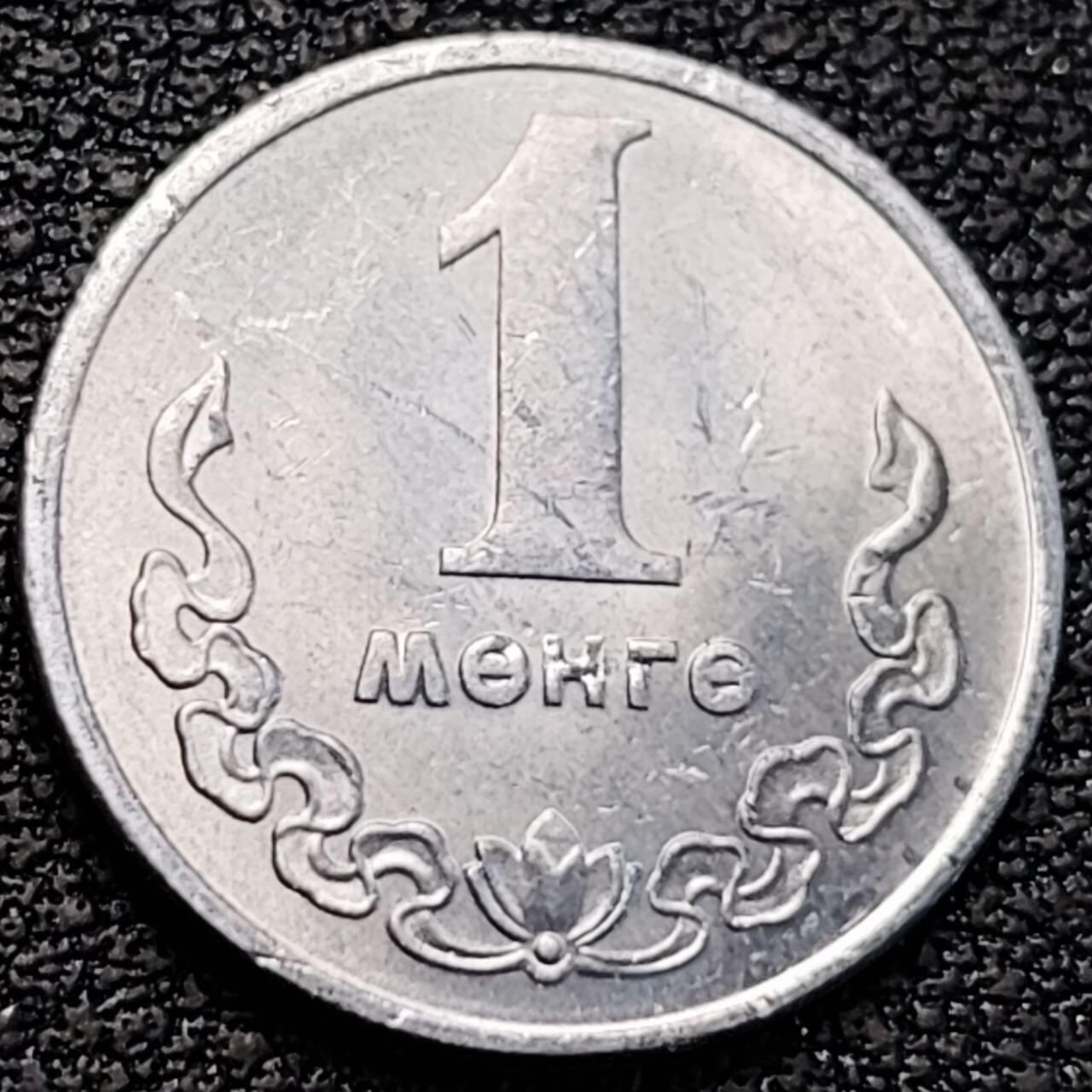 泉币菌-第187场- 精品福利场 （本周五和之前拍的 2月14日发货） 。