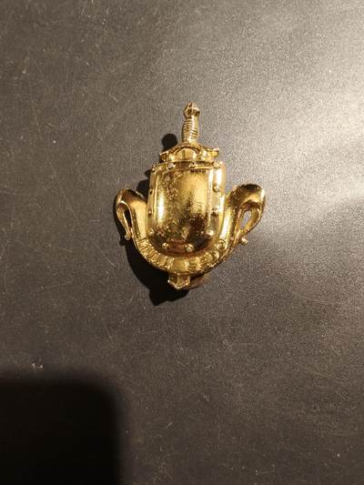 老王徽章第181期 - 荷兰皇家陆军领章   二战时期