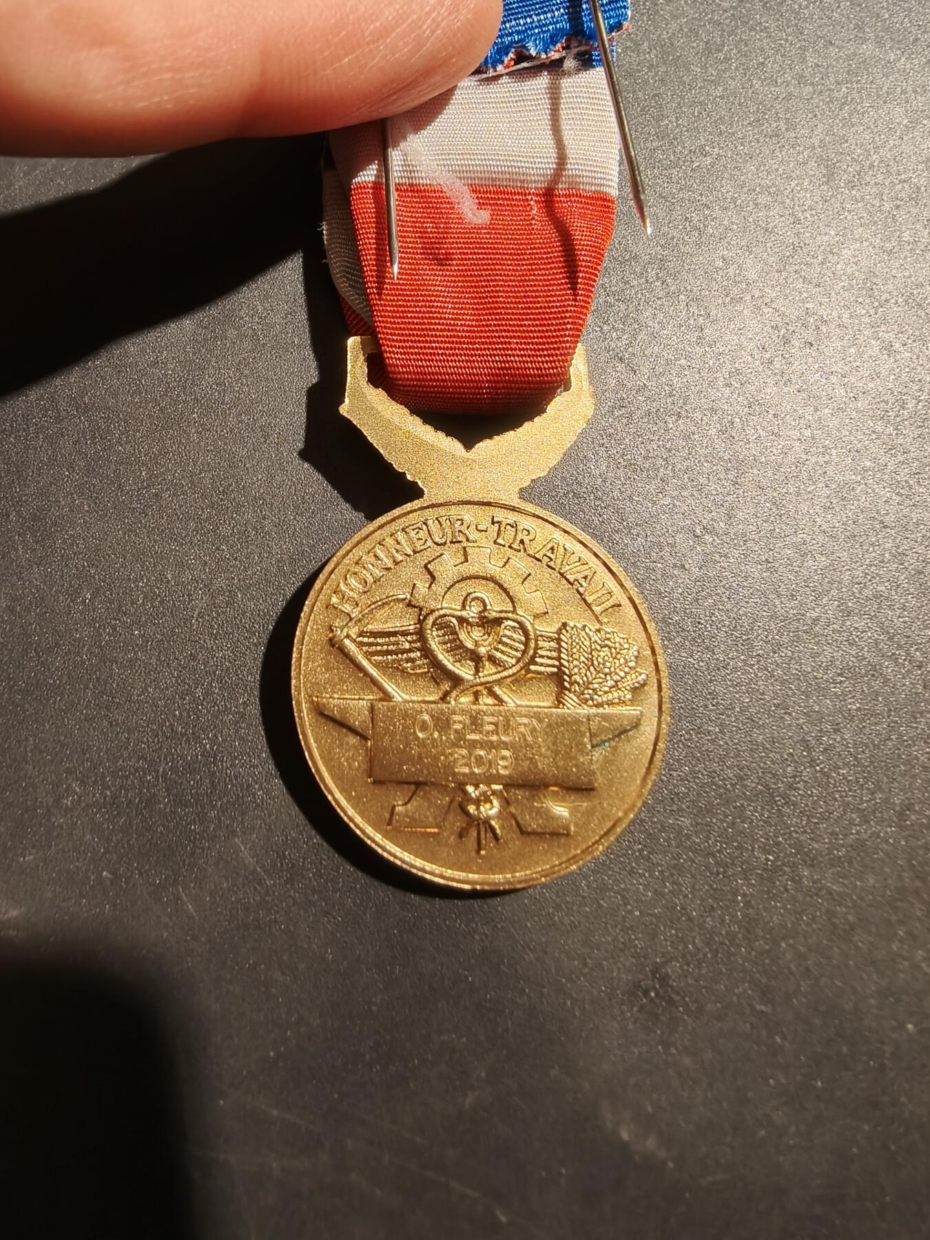 老王徽章第181期 法国金级劳动荣誉奖章    2019年实发   金棕榈勋饰