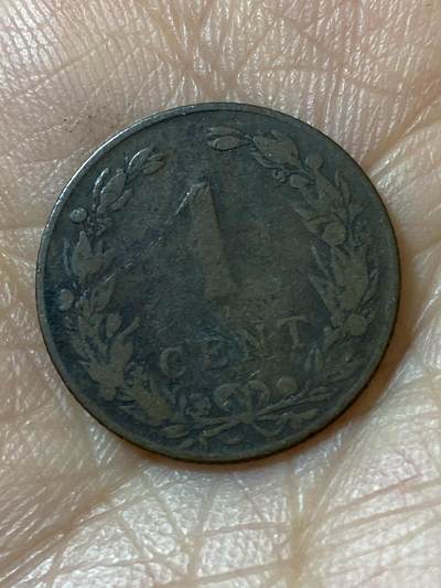 2026年第二十一场(总第一百九十场）外国好品散币场(免佣金) - 荷兰🇳🇱1902年1分(威廉明娜女王第四版首发年，Halberd–长戟标)