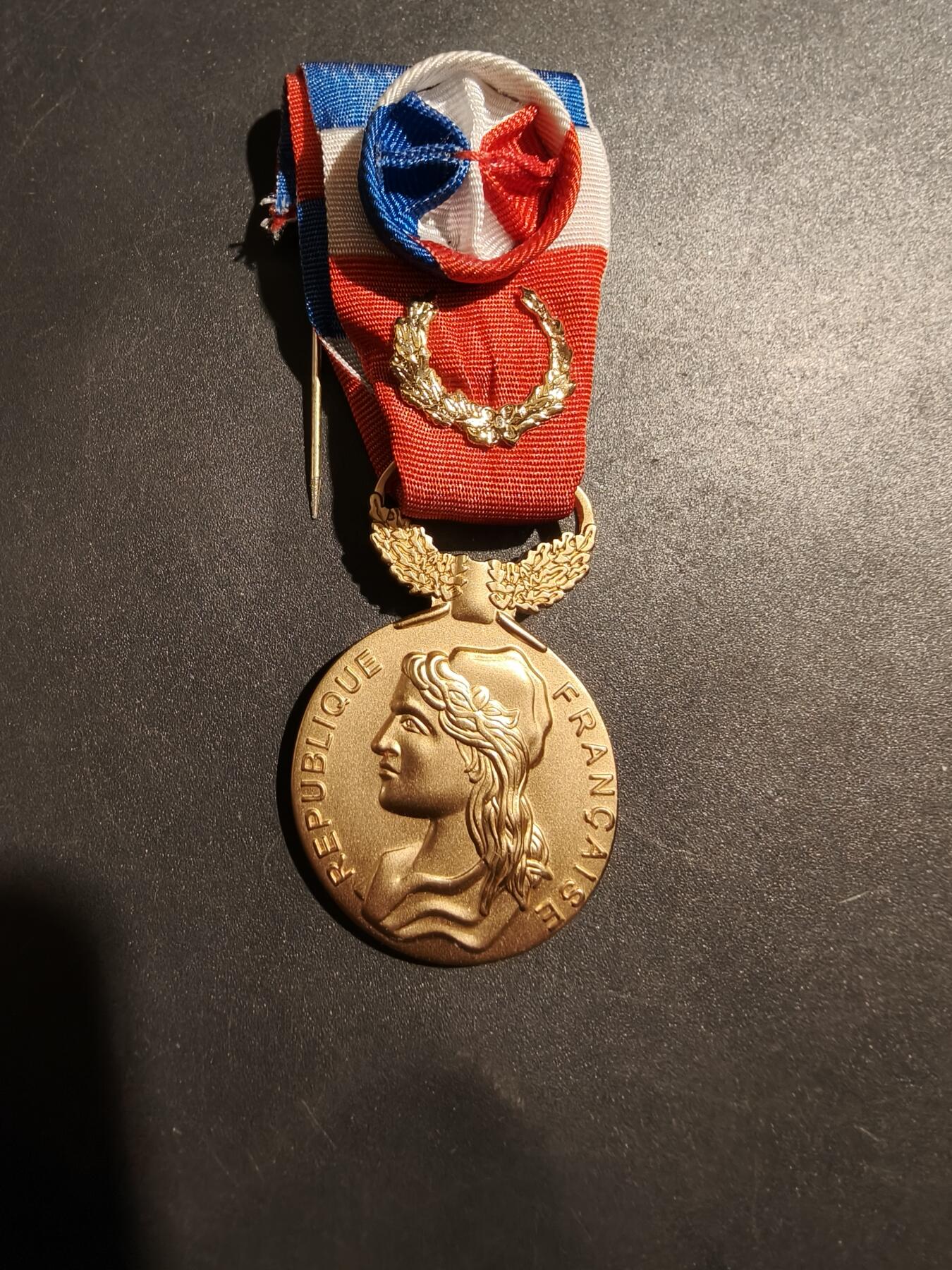 老王徽章第181期 法国金级劳动荣誉奖章    2017年实发   金棕榈勋饰