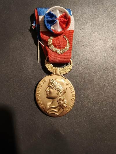 老王徽章第181期 - 法国金级劳动荣誉奖章    2017年实发   金棕榈勋饰