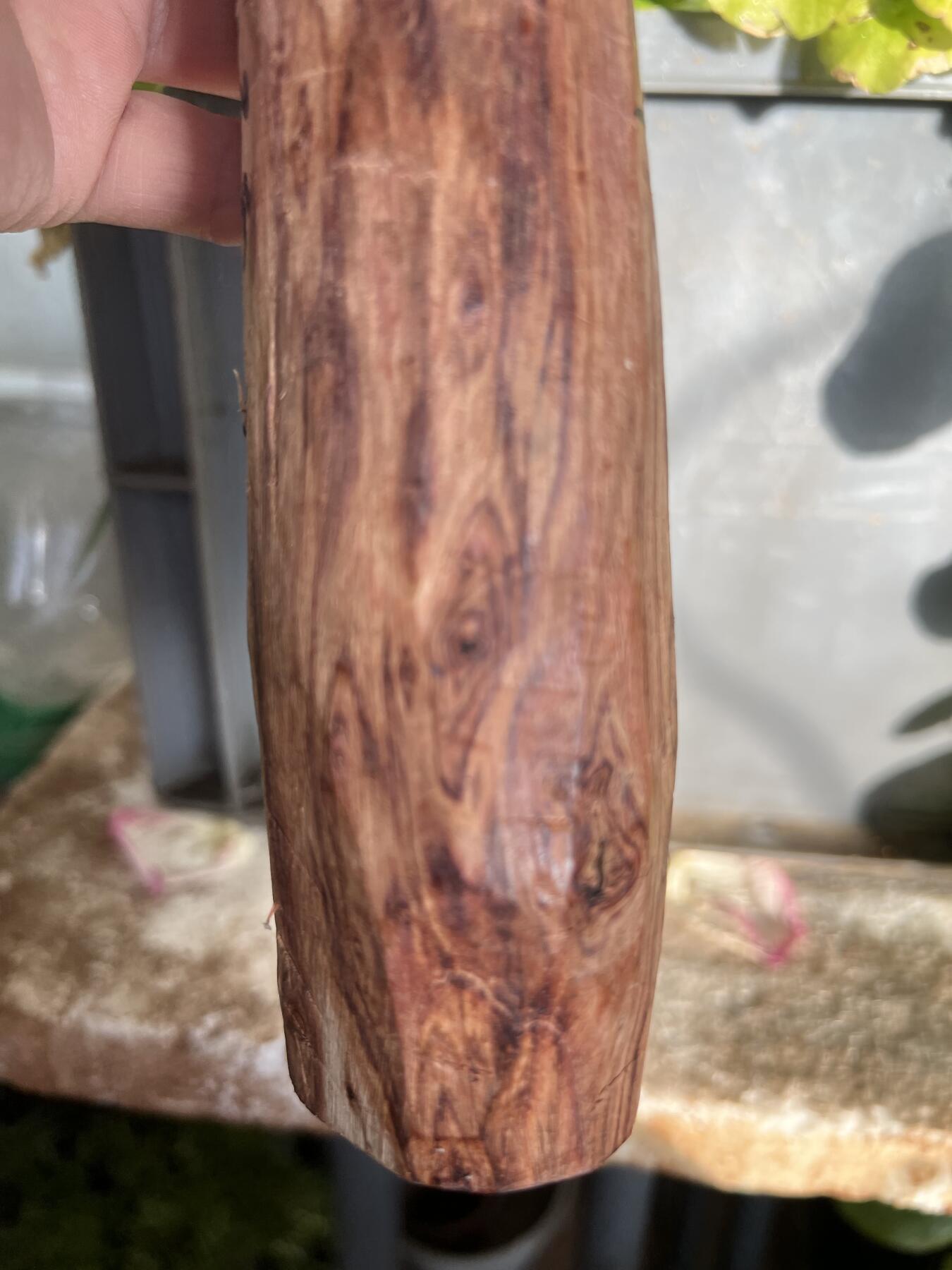 零元拍：NO.35-3海南黄花梨珠子把件料，外面白皮基本都去掉了，红肉打底花纹很漂亮。315/40/50MM