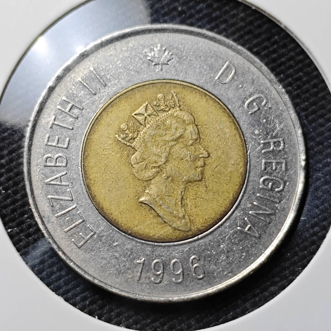 KK钱币收藏小铺  第395期  2月预留时间 周末发货