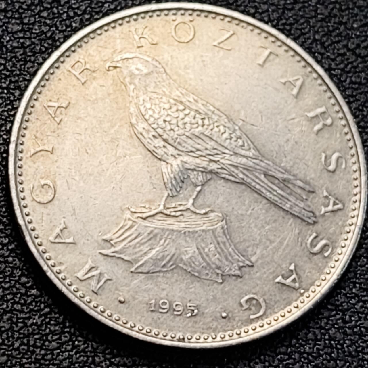 泉币菌-第186场- 精品福利场 。