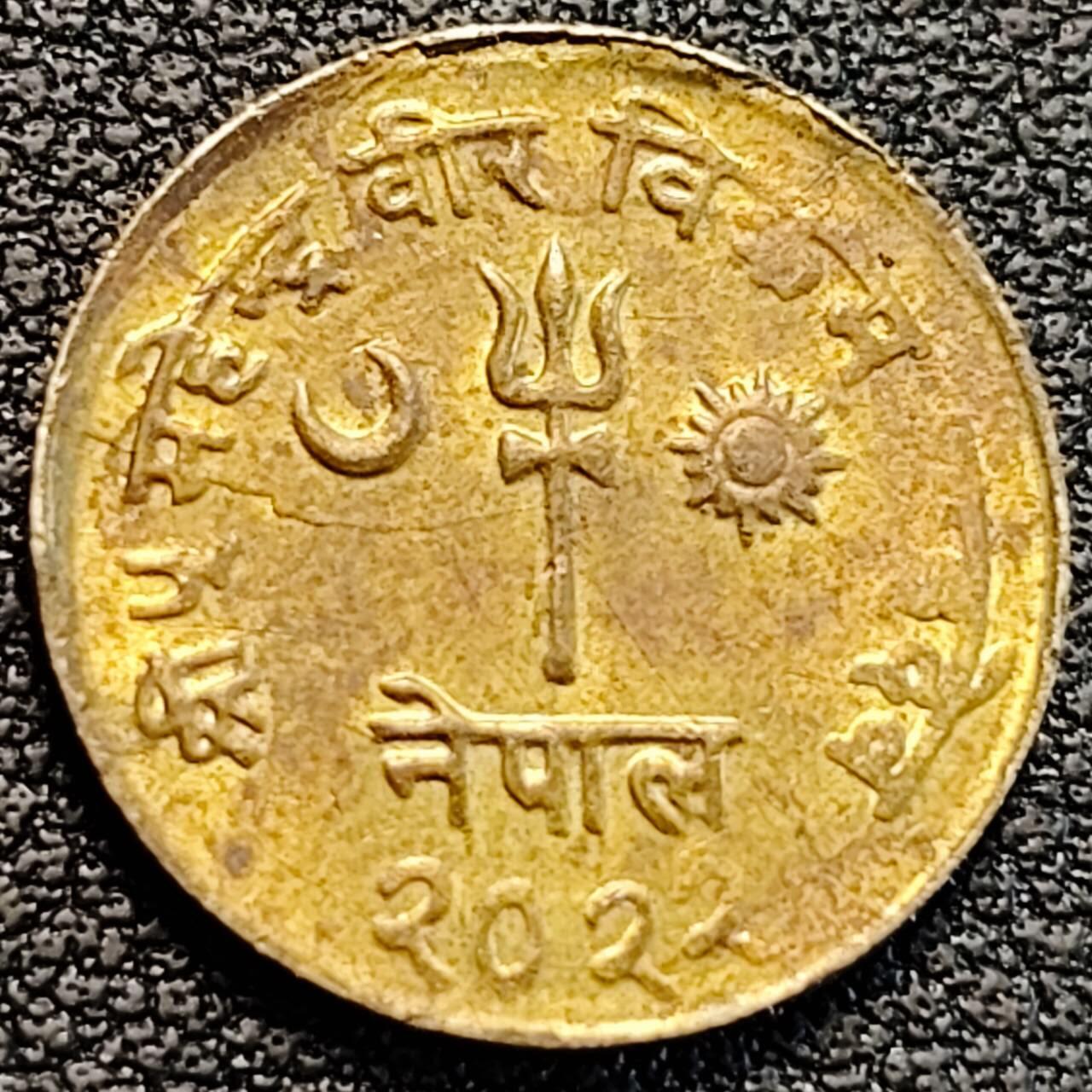 泉币菌-第187场- 精品福利场 （本周五和之前拍的 2月14日发货） 。