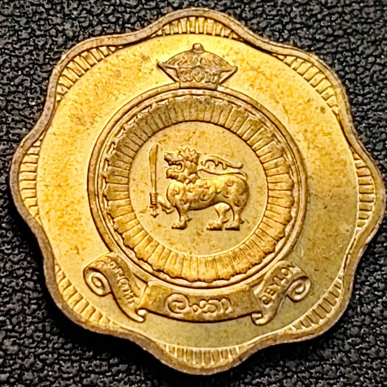 泉币菌-第186场- 精品福利场 。