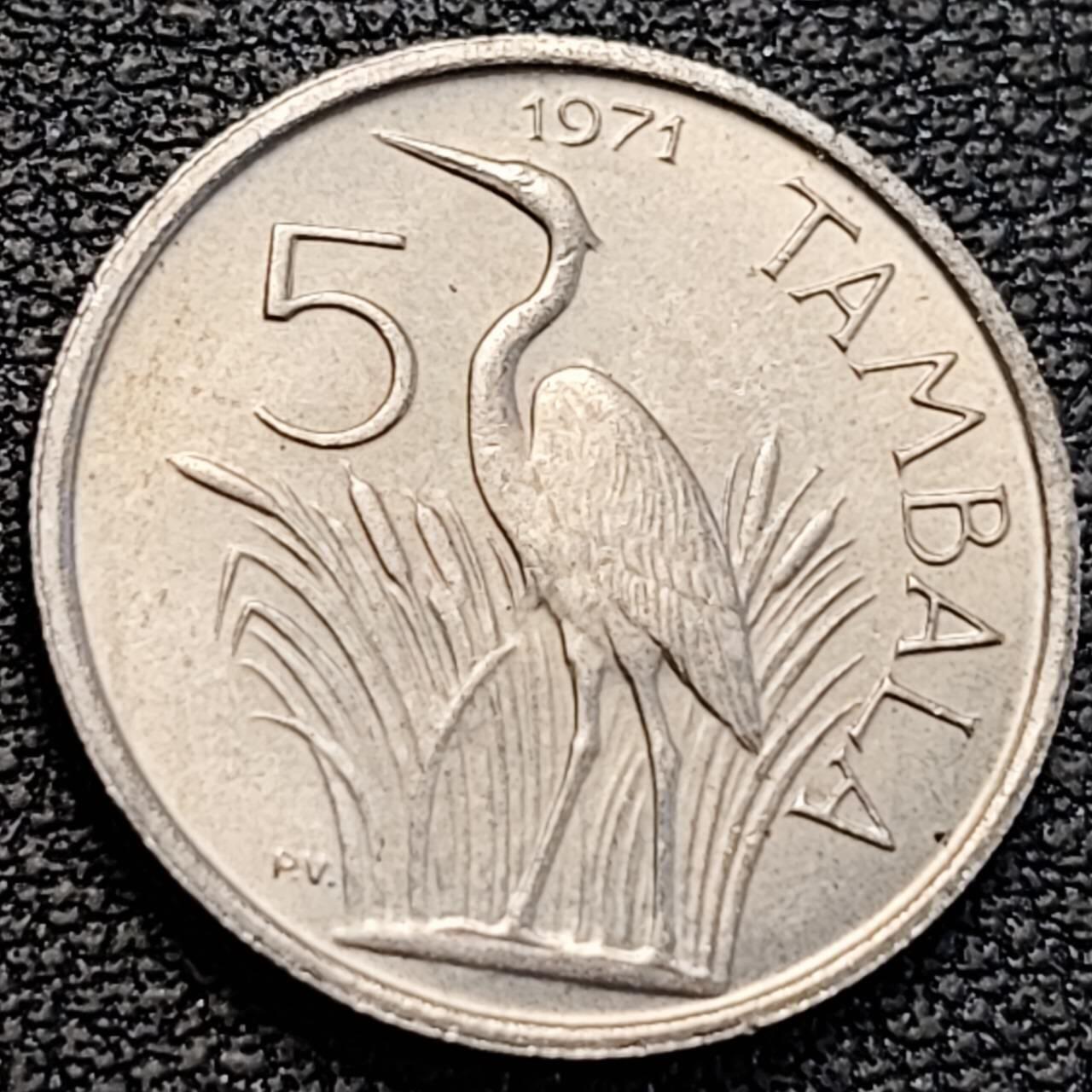 泉币菌-第186场- 精品福利场 。