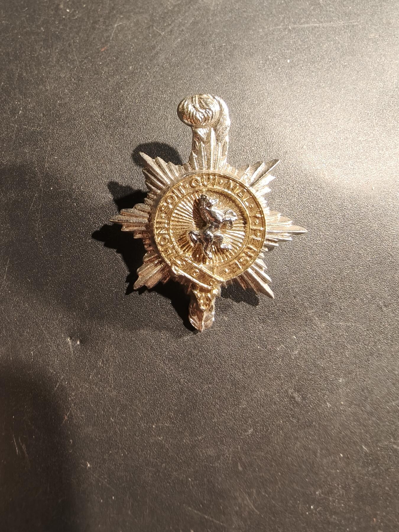 老王徽章第181期 英国皇家苏塞克斯步兵团领章    女王时期