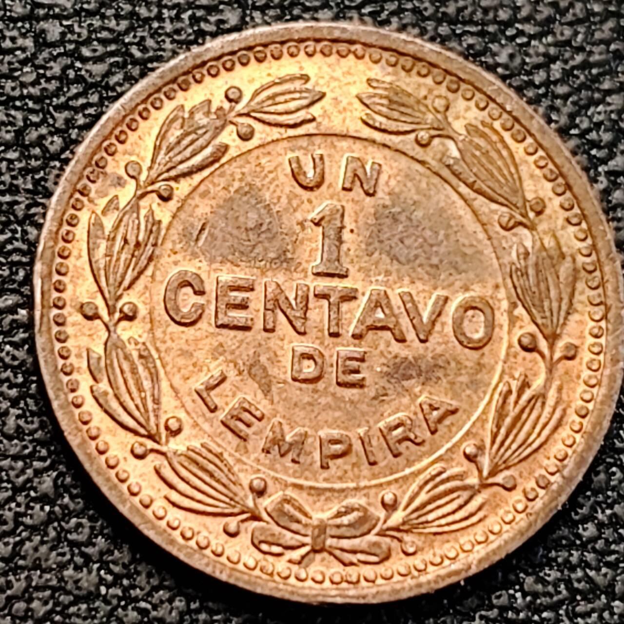 泉币菌-第187场- 精品福利场 （本周五和之前拍的 2月14日发货） 。