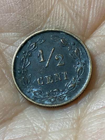 2026年第二十一场(总第一百九十场）外国好品散币场(免佣金) - 荷兰🇳🇱1894年1/2分(威廉明娜女王第一版，Halberd–长戟标)