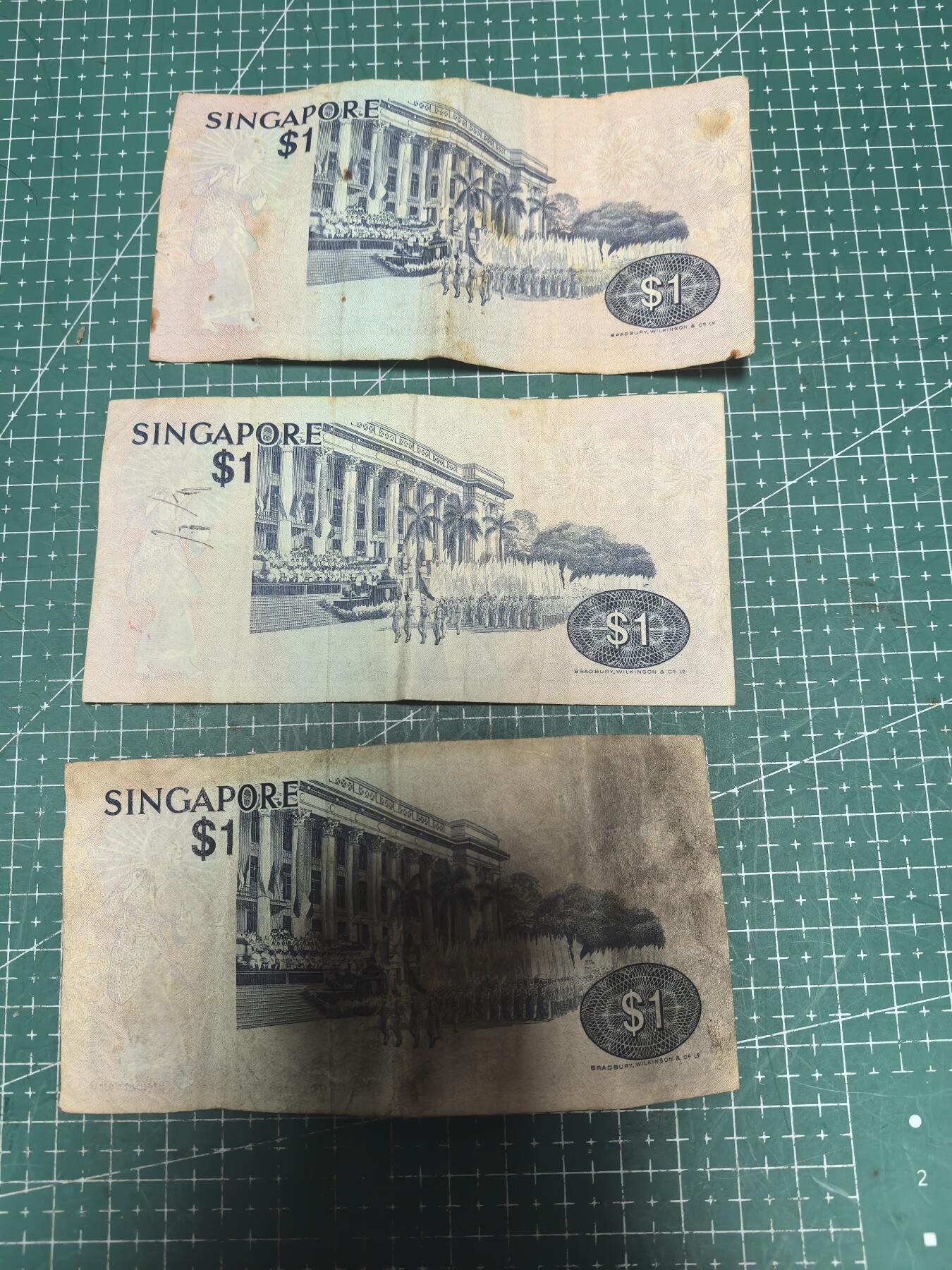 轻松集币无压力 新加坡鸟版/组