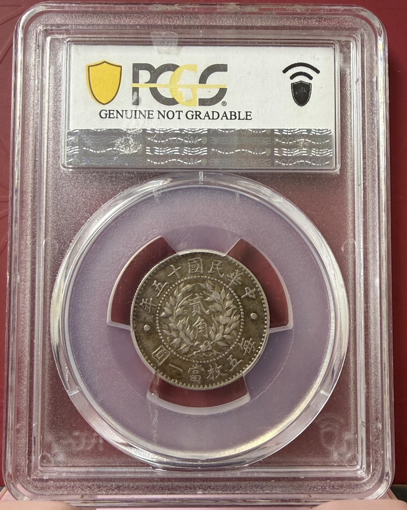 2026年2月捡漏拍