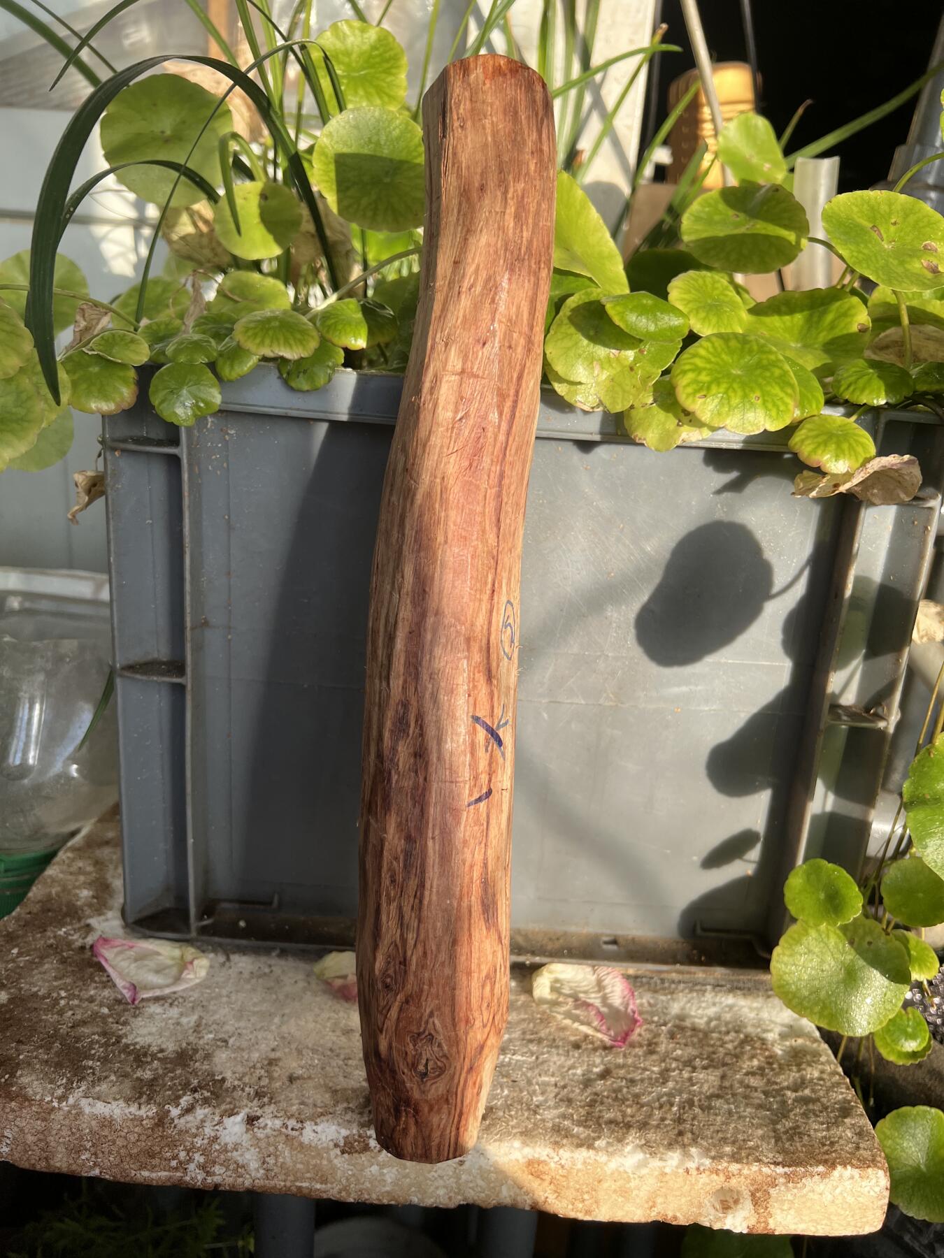 零元拍：NO.35-3海南黄花梨珠子把件料，外面白皮基本都去掉了，红肉打底花纹很漂亮。315/40/50MM