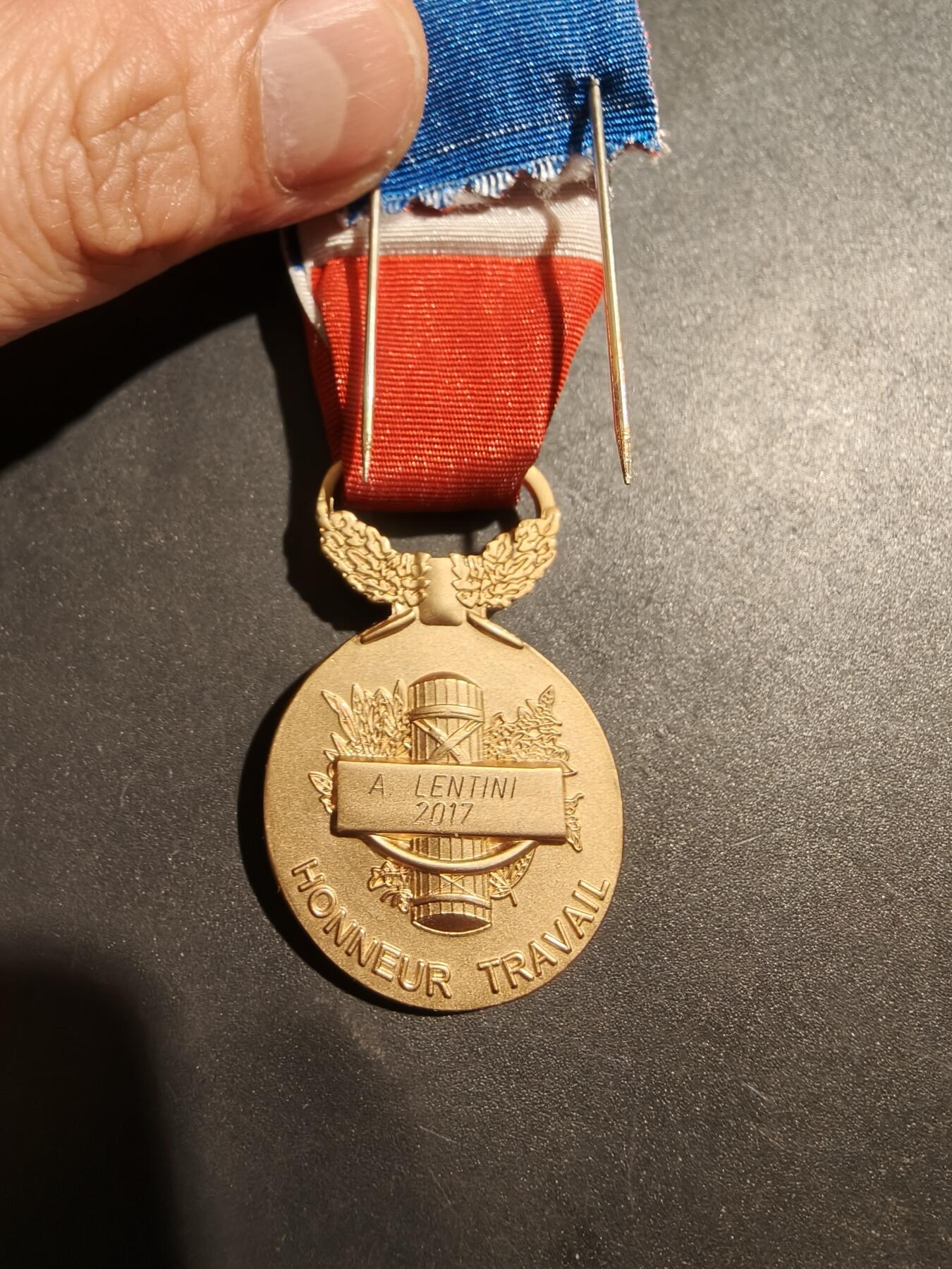 老王徽章第181期 法国金级劳动荣誉奖章    2017年实发   金棕榈勋饰