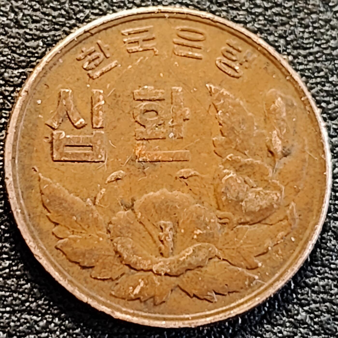 泉币菌-第186场- 精品福利场 。