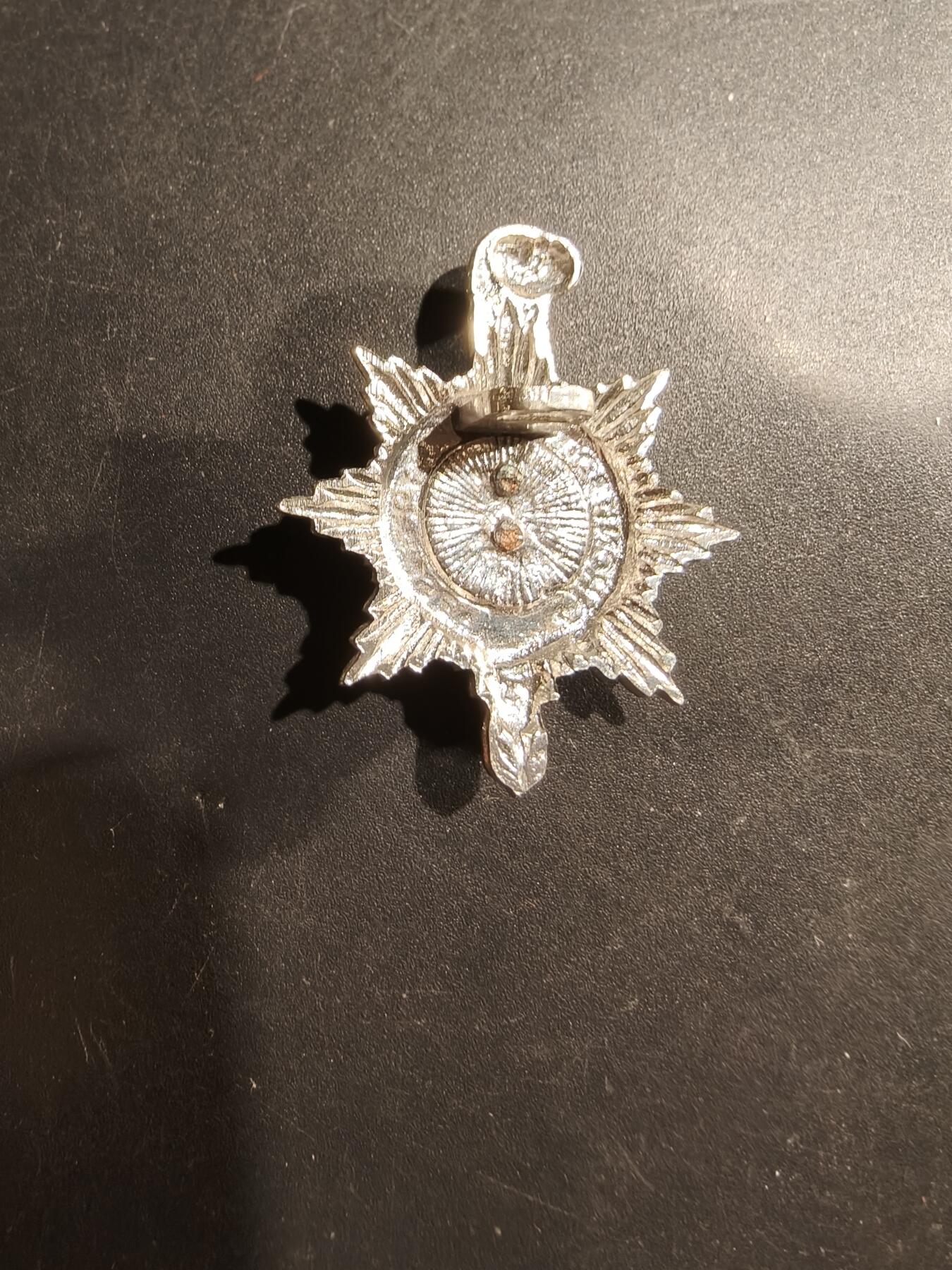 老王徽章第181期 英国皇家苏塞克斯步兵团领章    女王时期