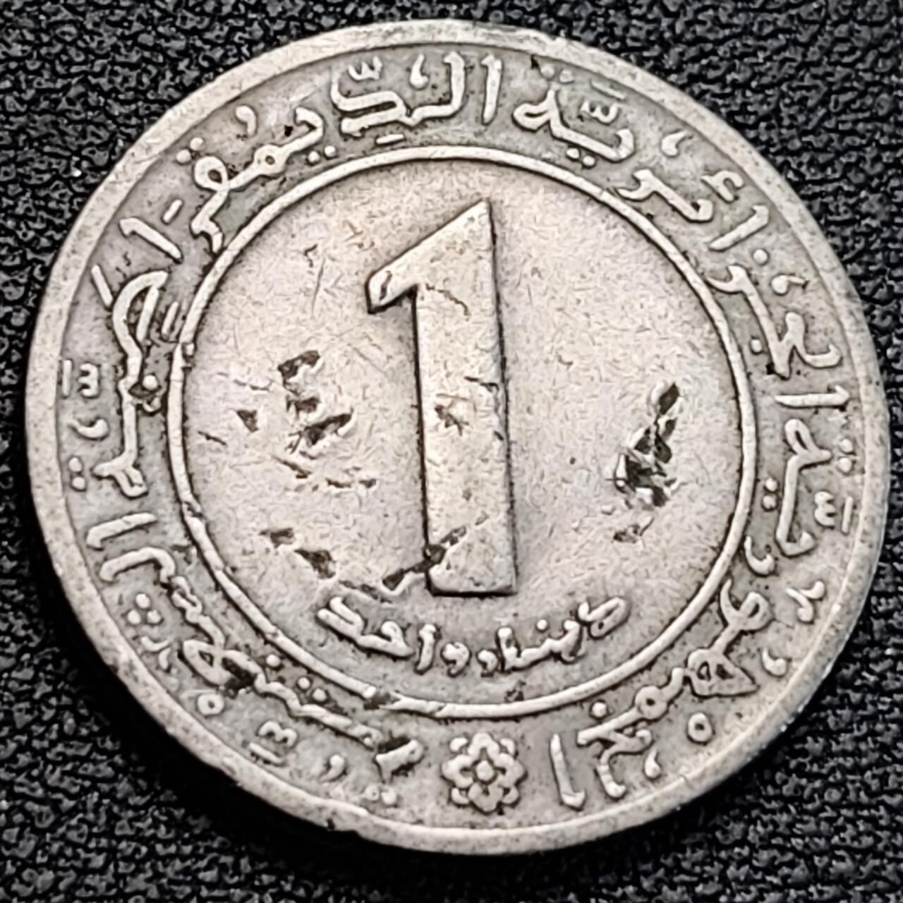 泉币菌-第186场- 精品福利场 。