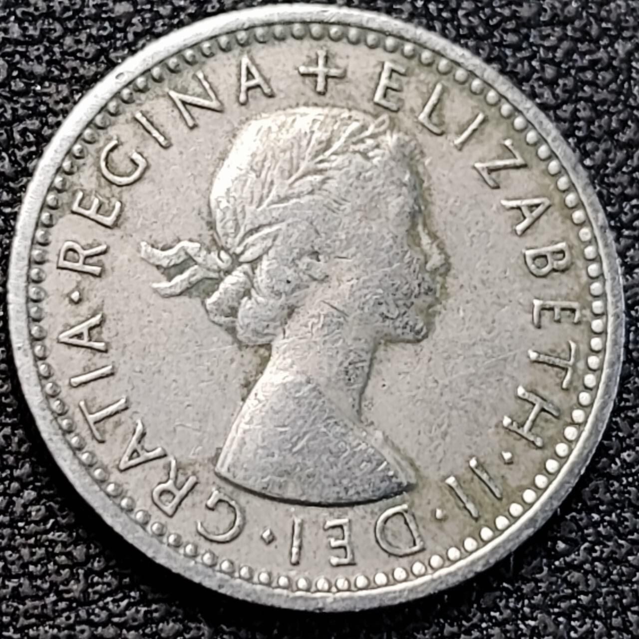 泉币菌-第187场- 精品福利场 （本周五和之前拍的 2月14日发货） 。