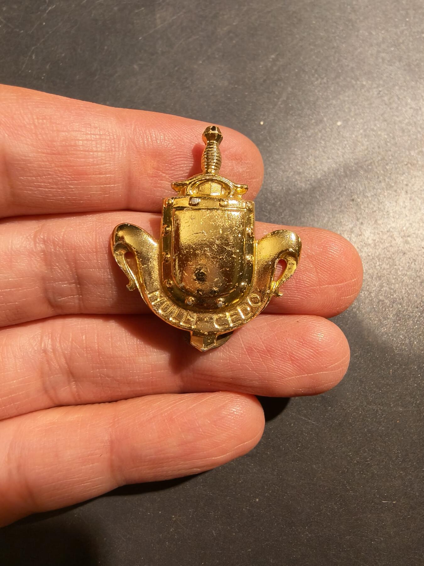 老王徽章第181期 荷兰皇家陆军领章   二战时期