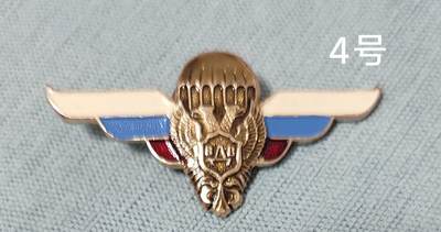 老俞小拍3 - 俄罗斯vdv证章