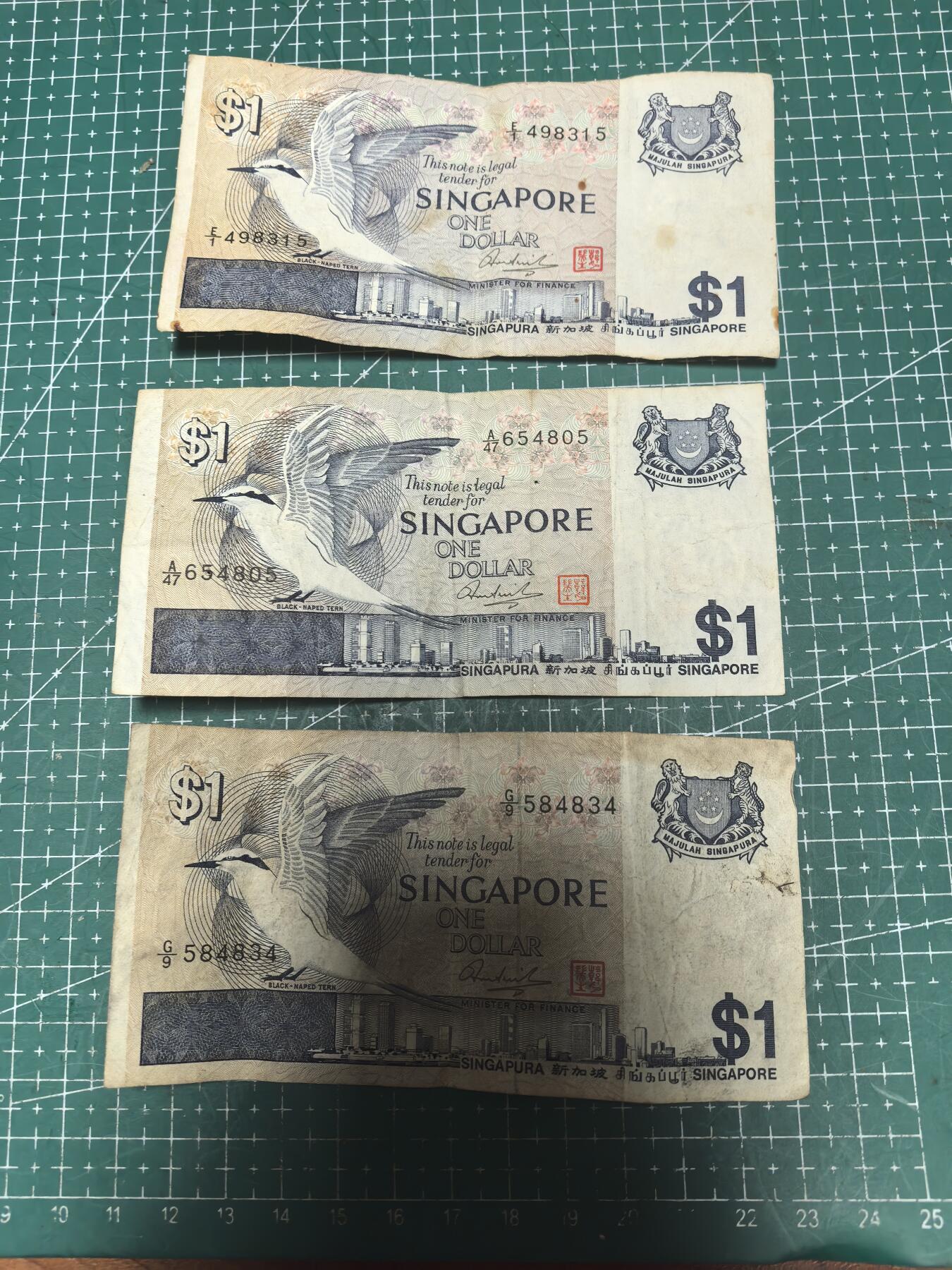 轻松集币无压力 新加坡鸟版/组