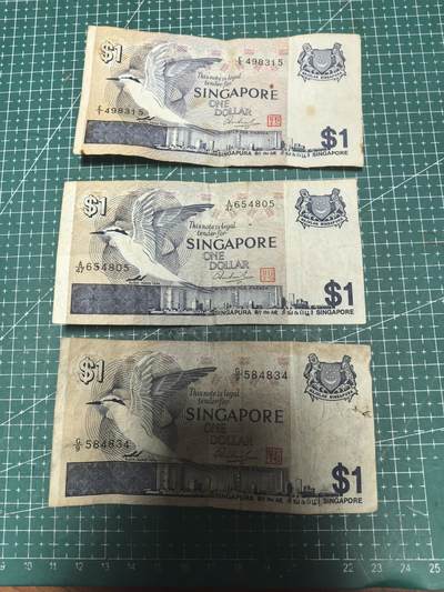 轻松集币无压力 - 新加坡鸟版/组