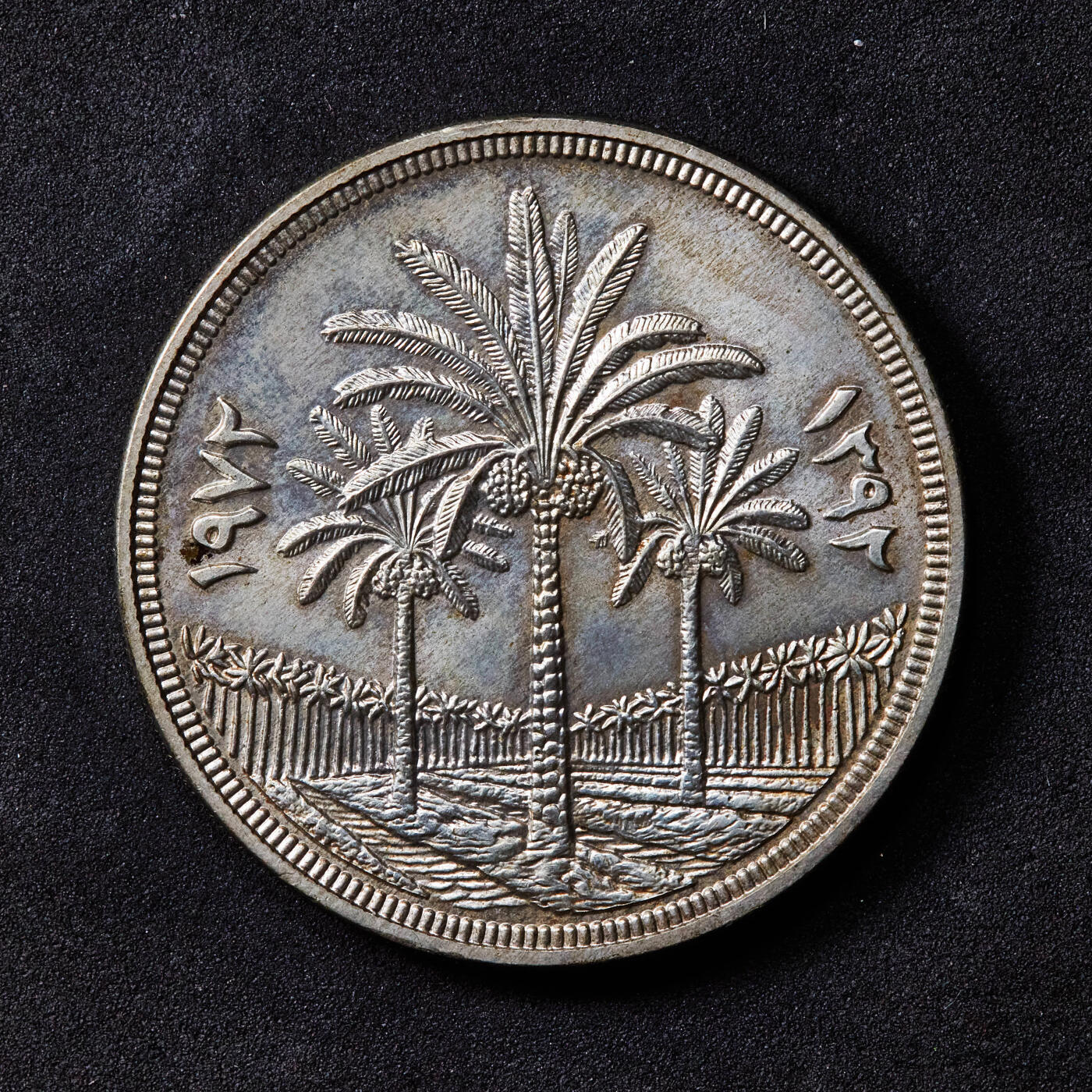 【俄甄集藏】马年新春第一拍 2026年(048)02-25星期三 晚 19:30 全场包邮 伊拉克1972年中央银行25周年1第纳尔椰子树大银币，名誉品种，重31克，50%银，原味包浆，转光品相