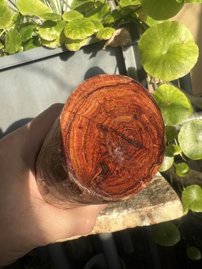 零元拍：NO.35-15海南黄花梨珠子把件料，外面白皮基本都去掉了，红肉打底花纹很漂亮。265/65/70MM - 零元拍：NO.35-15海南黄花梨珠子把件料，外面白皮基本都去掉了，红肉打底花纹很漂亮。265/65/70MM